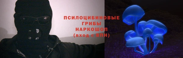 винт Горно-Алтайск