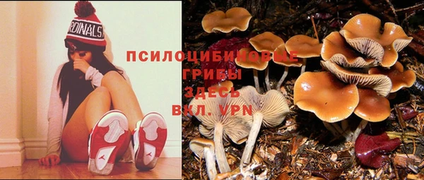 мет Аркадак