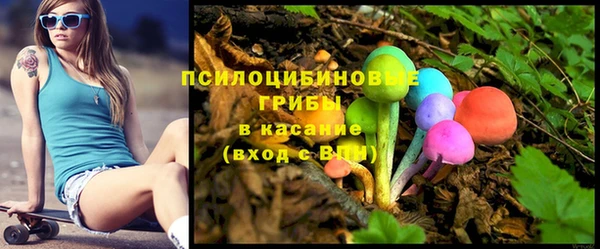 спиды Арсеньев