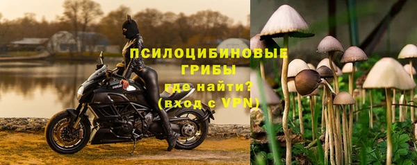 ешки Алексин