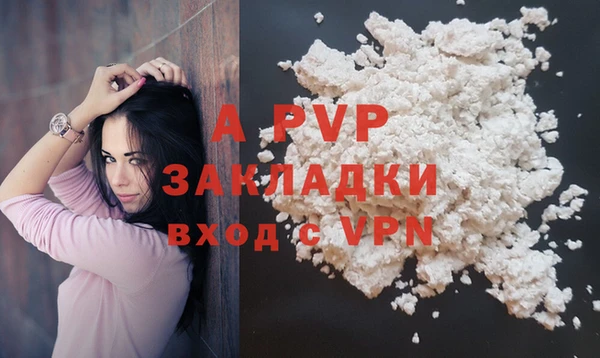 амф Гусь-Хрустальный