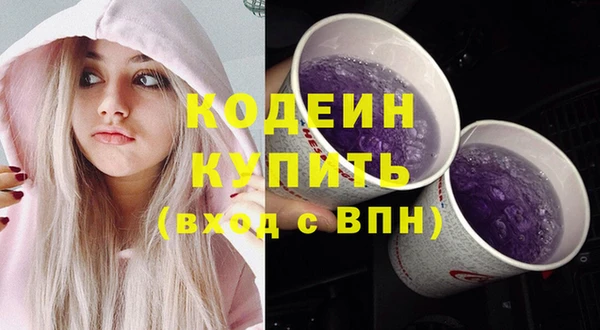гашик Гусиноозёрск